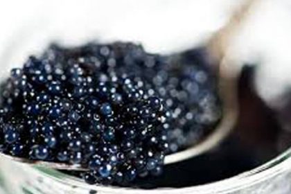 caviar